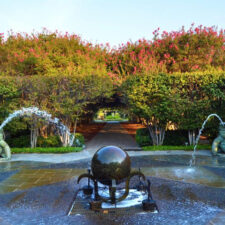frog fountain at Dallas Arboretum, August Dollar Days at Dallas Arboretum