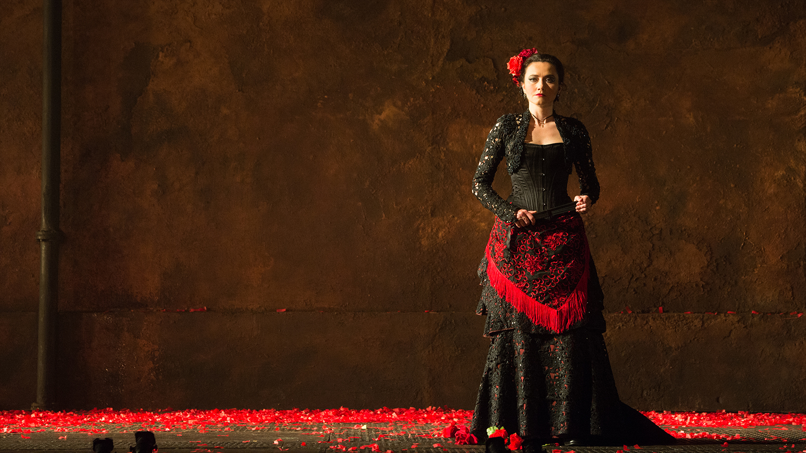 ���� ������ ������