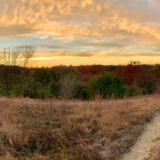 Manly Men Wild Women First Day Hike through Tandy Hills Natural Area, photo courtesy of Don Young and Friends of Tandy Hills Natural Area