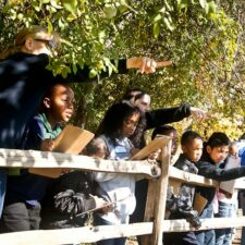 Great Backyard Bird Count, River Legacy Nature Center