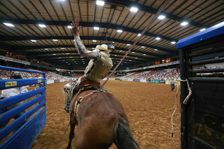 Mesquite Championship Rodeo - DFWChild