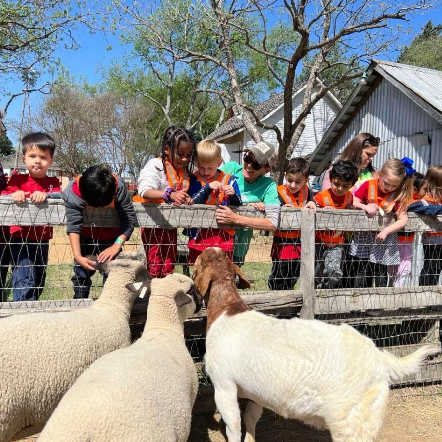 A Day At The Farm Dfwchild