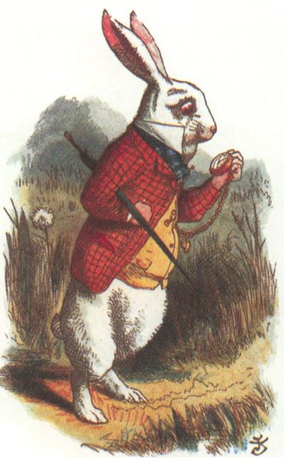 Halloween Wonderland Party - DFWChild