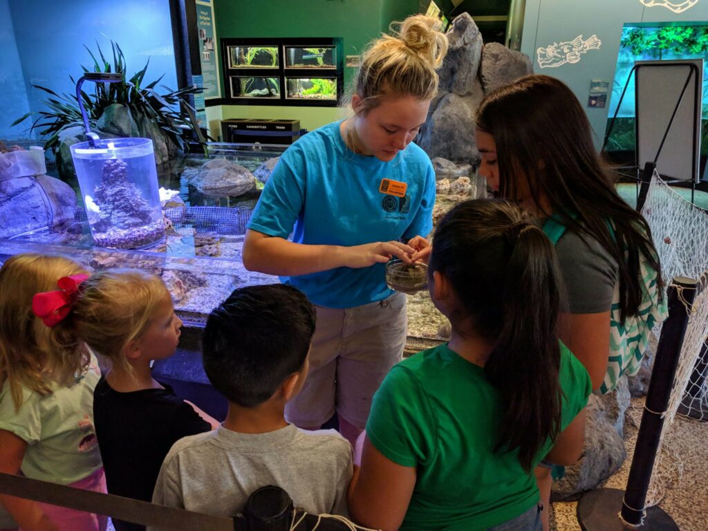 Aquarium Homeschool Day DFWChild