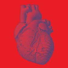 Anatomical illustration of a human heart; heart conditions; sudden cardiac arrest