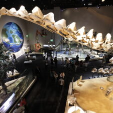 Places to go with kids in DFW, Perot Museum