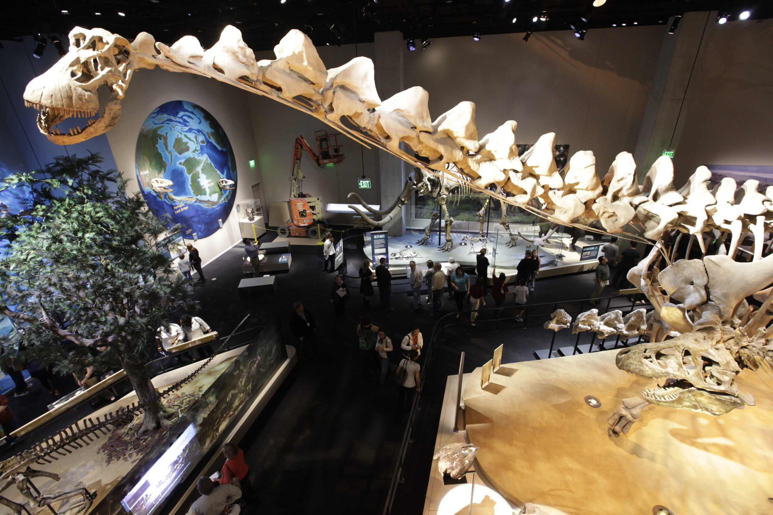 Places to go with kids in DFW, Perot Museum