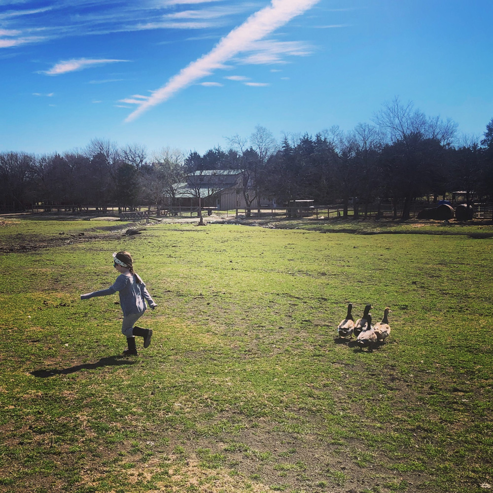 Trading expectations for appreciation for your kids, Mom blogger Stephanie Hanrahan