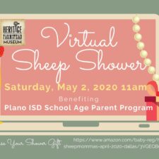 Virtual Sheep Shower