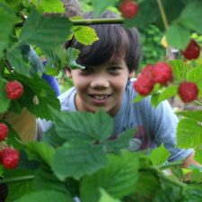 Arboretum Education at Home