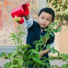 Nature Explore Live Online