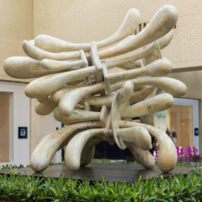 NorthPark Art at Home: Tony Cragg's Companions