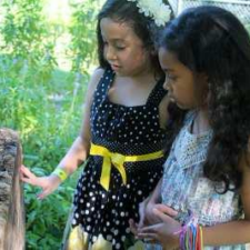 Garden STEM Lessons with the Arboretum