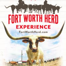Fort Worth Herd Experience