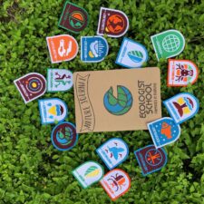Families in Nature badges