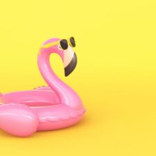 Pool flamingo float used in the summer