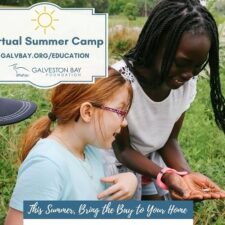Galveston Bay Foundation Virtual Summer Camps