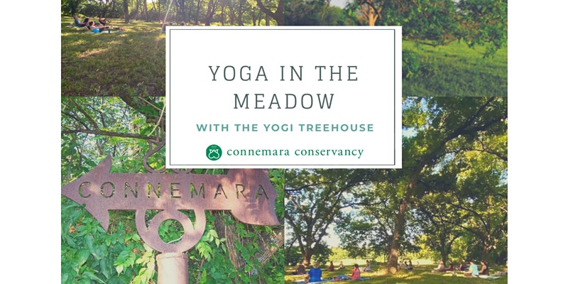 Yoga in the Meadow, Connemara Meadow Nature