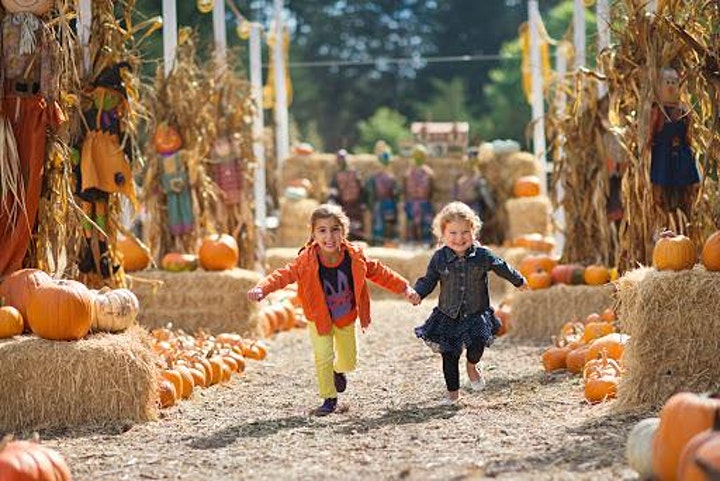 Fall Family Festival at Bingham House