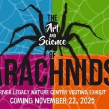 The Art and Science of Arachnids exhibit at River Legacy Nature Center in Arlington