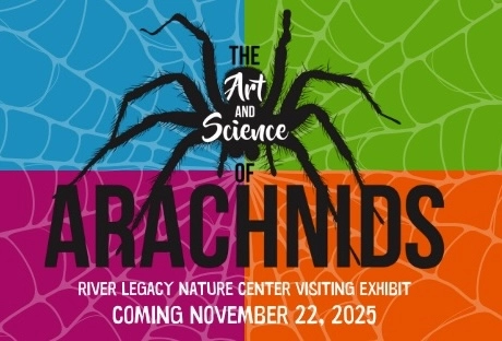 The Art and Science of Arachnids exhibit at River Legacy Nature Center in Arlington