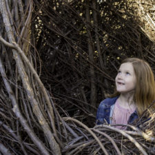 Stickwork exhibit by Patrick Dougherty, Fort Worth Botanic Garden