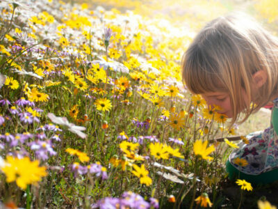 iStock image of young girl smelling wildflowers, where to find wildflowers blooming in Texas this spring