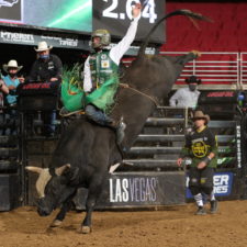 Pictured: Cooper Davis, photo by Andy Watson/Bull Stock Media