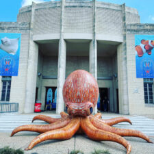 Children's Aquarium Dallas at Fair Park