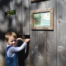 River Legacy Living Science Center, Family Sunset Hike