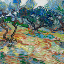 Van Gogh and the Olive Trees exhibit at Dallas Museum of Art