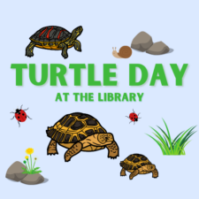 Turtle Day at the Library, photo courtesy of Dallas Public Library