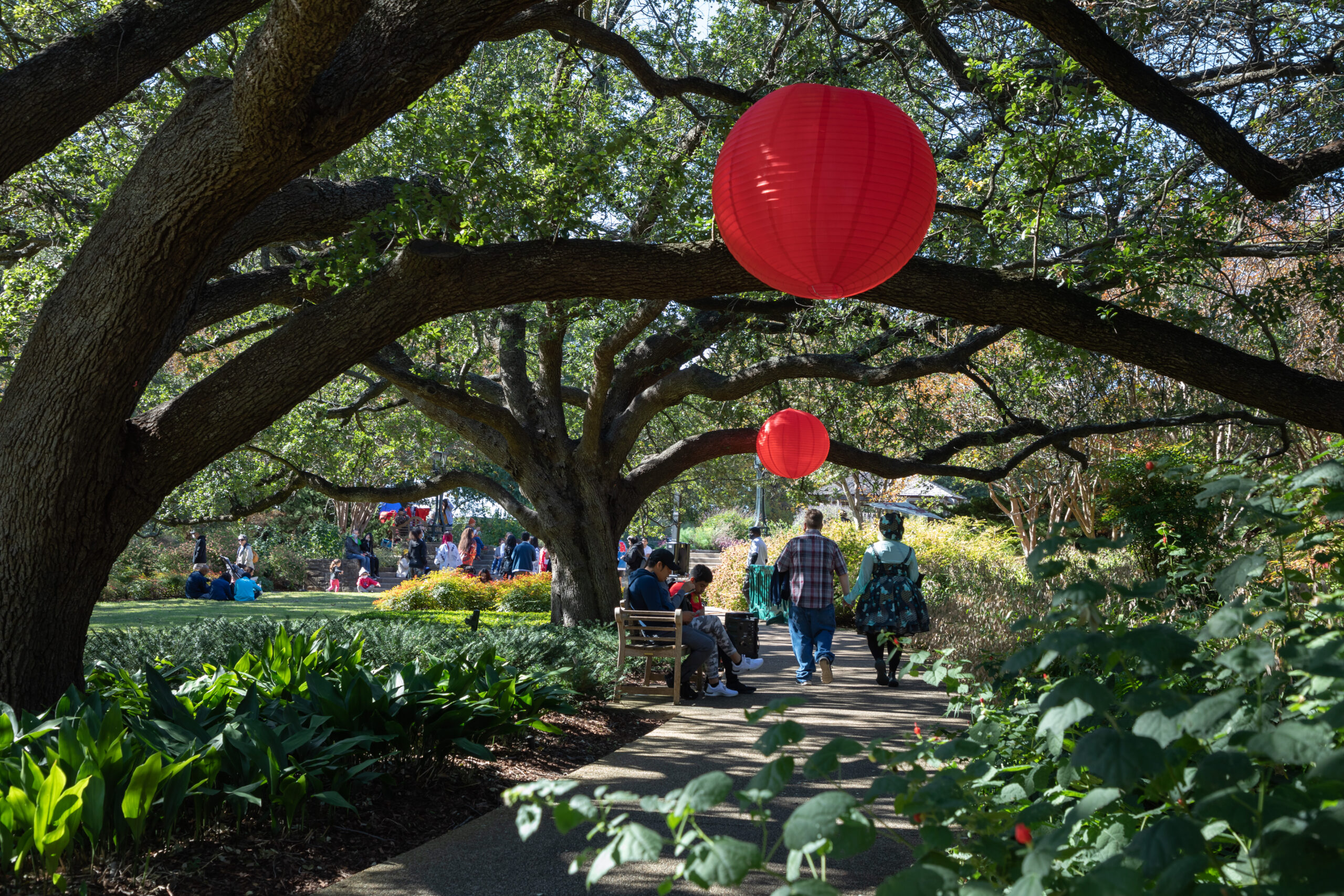 Spring Japanese Festival, Fort Worth Botanic Garden | Botanical Research Institute of Texas