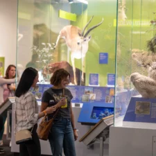 Thursdays on Tap, Perot Museum of Nature and Science