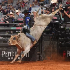 PBR World Finals Championship, Bull Stock Media (May 18-19, 2024, AT&T Stadium)