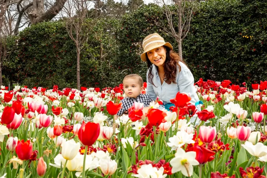 Dallas Blooms, Dallas Arboretum