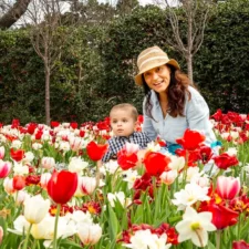Dallas Blooms, Dallas Arboretum