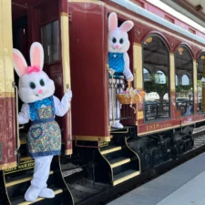 Easter Bunny Trains at Grapevine Vintage Railroad