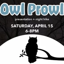 Owl Prowl at River Legacy