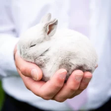 Bunnies are Awesome, Fort Worth Public Library