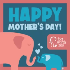 Mother's Day Brunch at Fort Worth Zoo