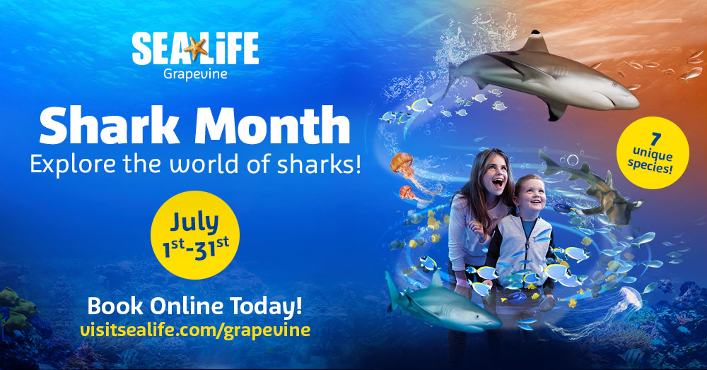 Shark Month DFWChild