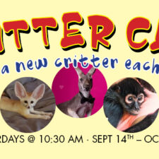 Critter Club at Fairview Town Center