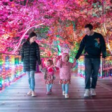 Lightscape, photo courtesy of Fort Worth Botanic Garden