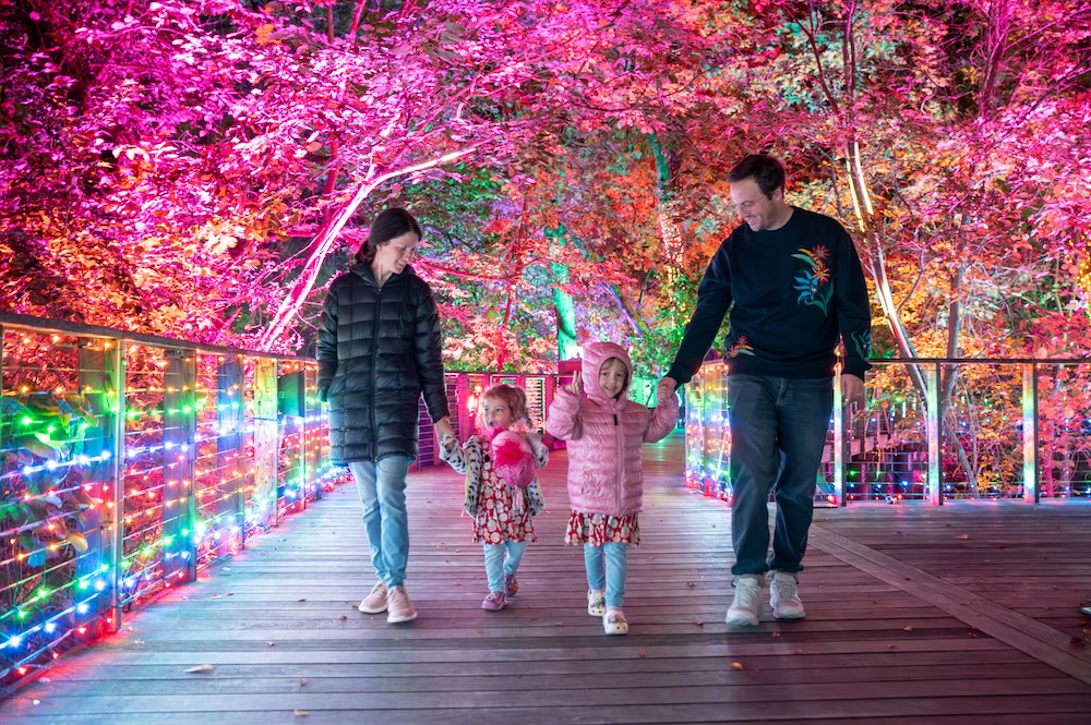 Lightscape, photo courtesy of Fort Worth Botanic Garden