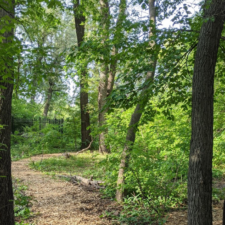 Family Tree Hike at River Legacy Nature Center. Let's take a closer look at trees as we walk through the beautiful riparian forest right here in Arlington!