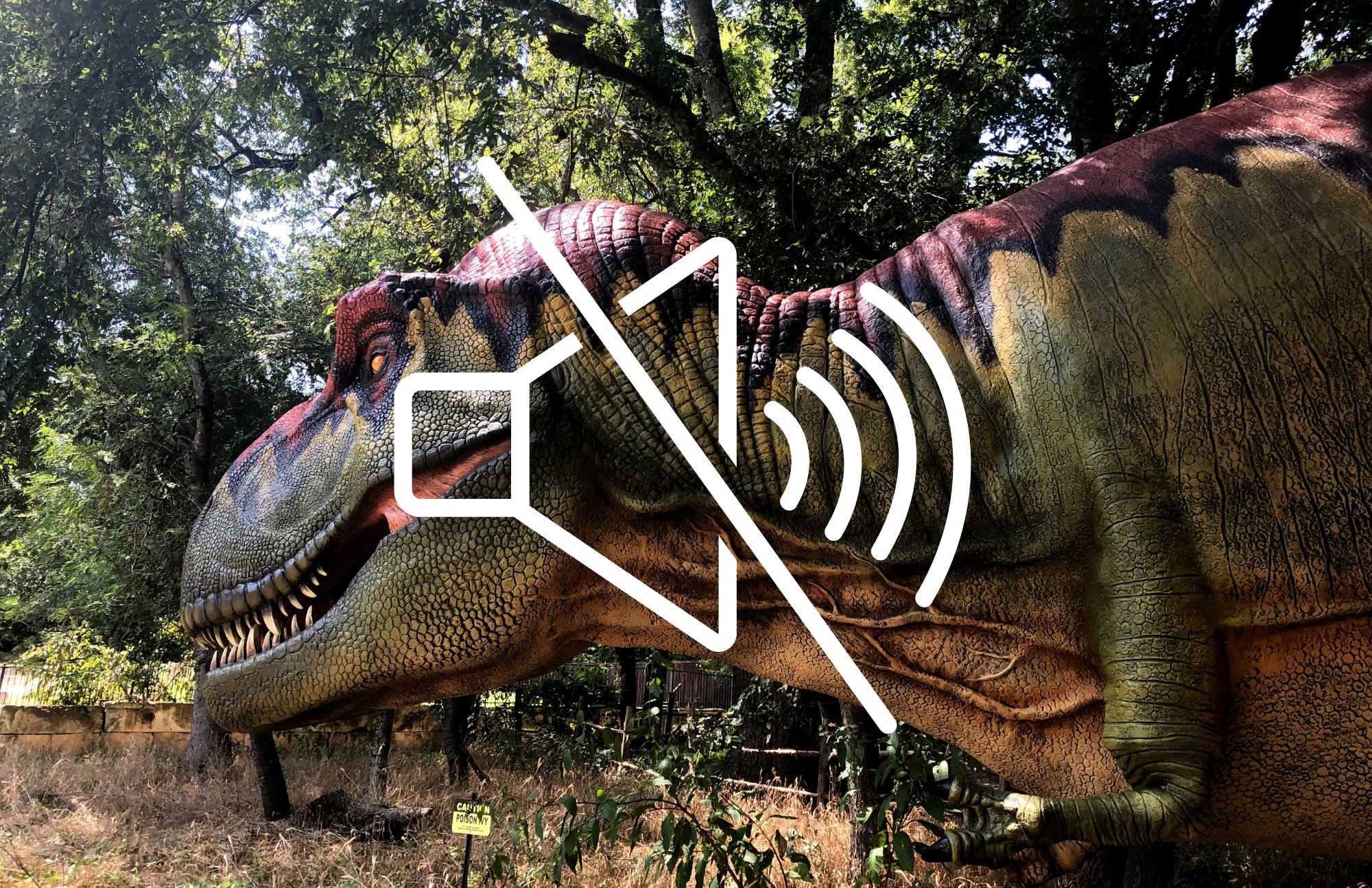 Dinosaur Quiet, at Heard, photo courtesy of Stephanie Jennings