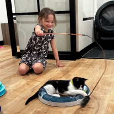 Whiskers & Soda cat cafe in Dallas