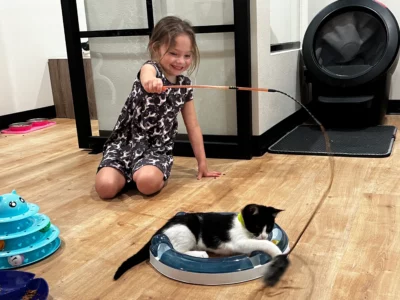 Whiskers & Soda cat cafe in Dallas