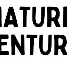 Enjoy a hands-on program with Nature Adventurers, photo courtesy of River Legacy Nature Center